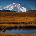 fall colors in Alaska